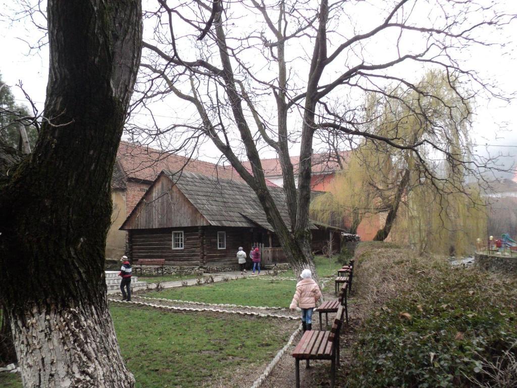 Pensiunea Irina Tilişca Dış mekan fotoğraf