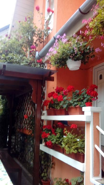 Pensiunea Irina Tilişca Dış mekan fotoğraf